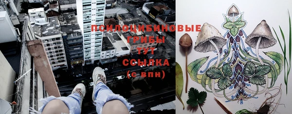 MDMA Premium VHQ Бугульма