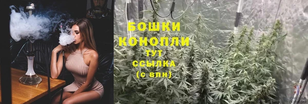 PSILOCYBIN Бронницы