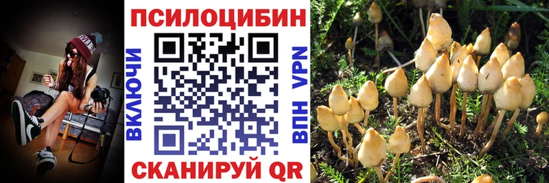 Псилоцибиновые грибы ЛСД  наркошоп  mega ССЫЛКА  Кологрив 