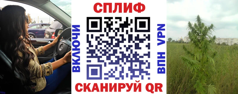 МАРИХУАНА конопля  Кологрив 